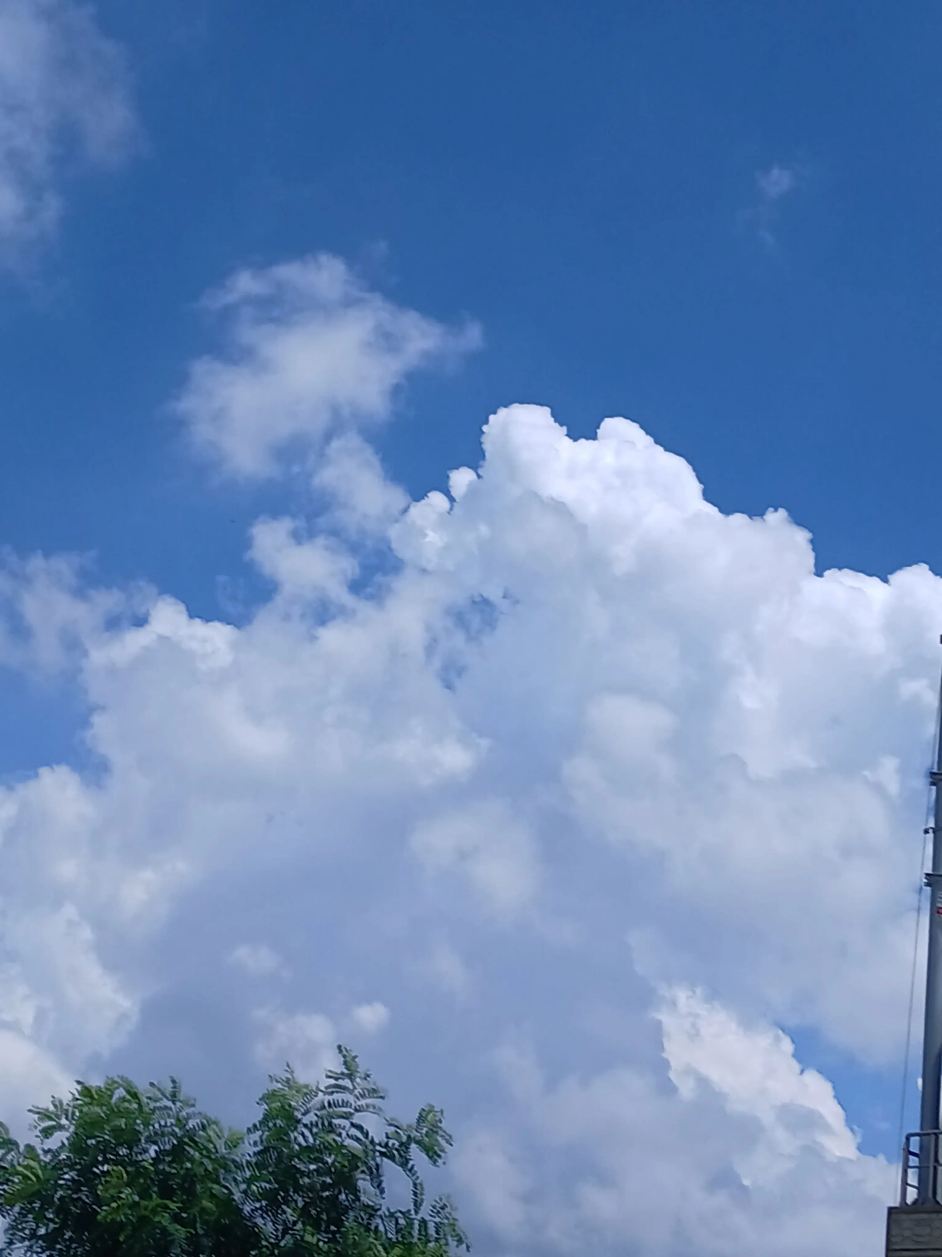 ConvexTrail029의 Pixelry 아이돌au