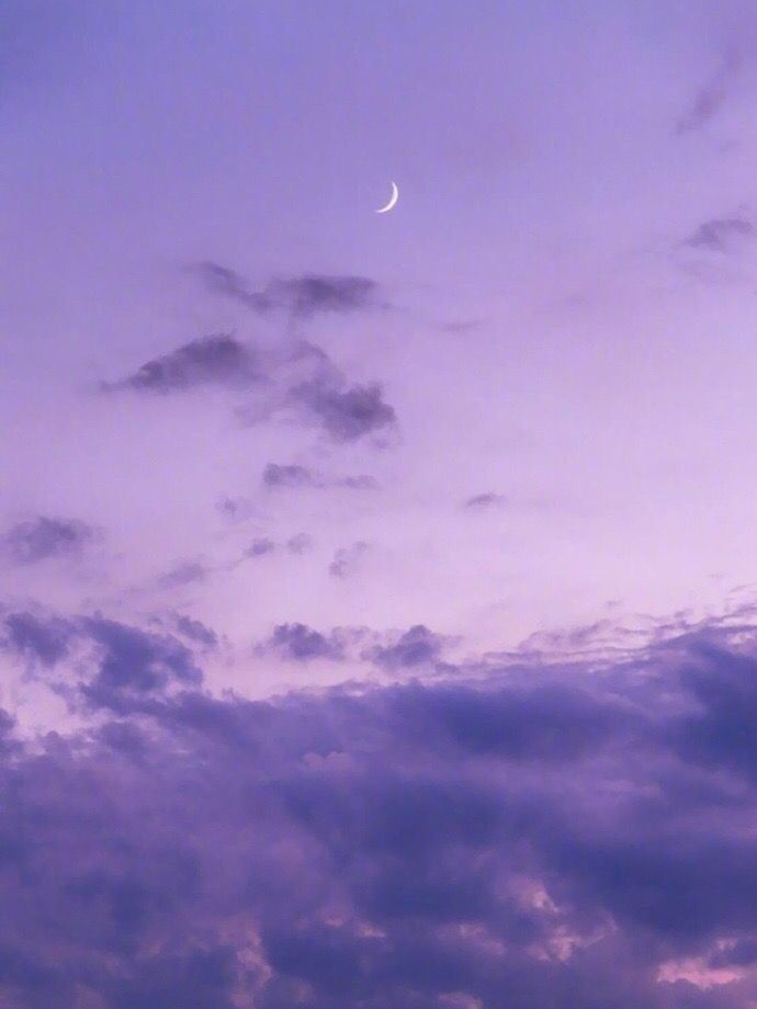 하나하키 대표 이미지