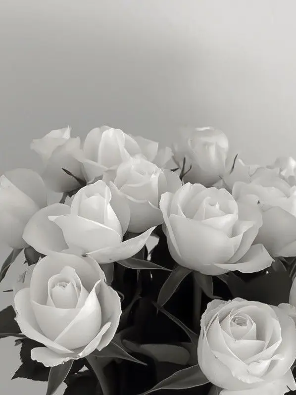 Seol_0418의 겐지의 담임이 되었다.