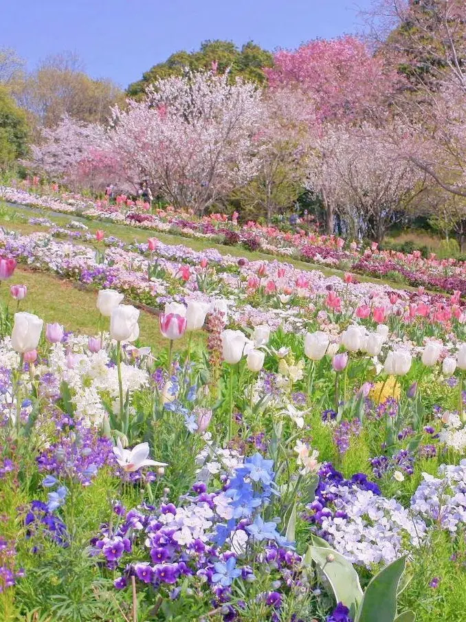 DANGANLONPA-16의 花の世界