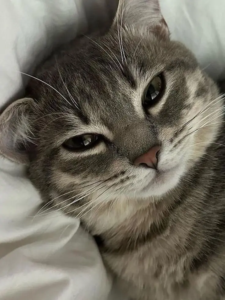 s__.12의  ︎︎