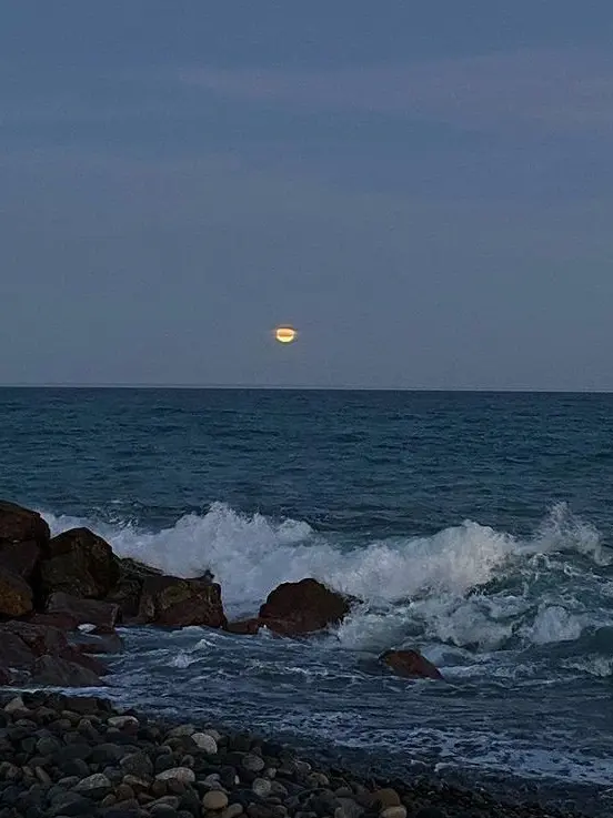 non-existent.의 머나먼 세상의 사서 이야기.