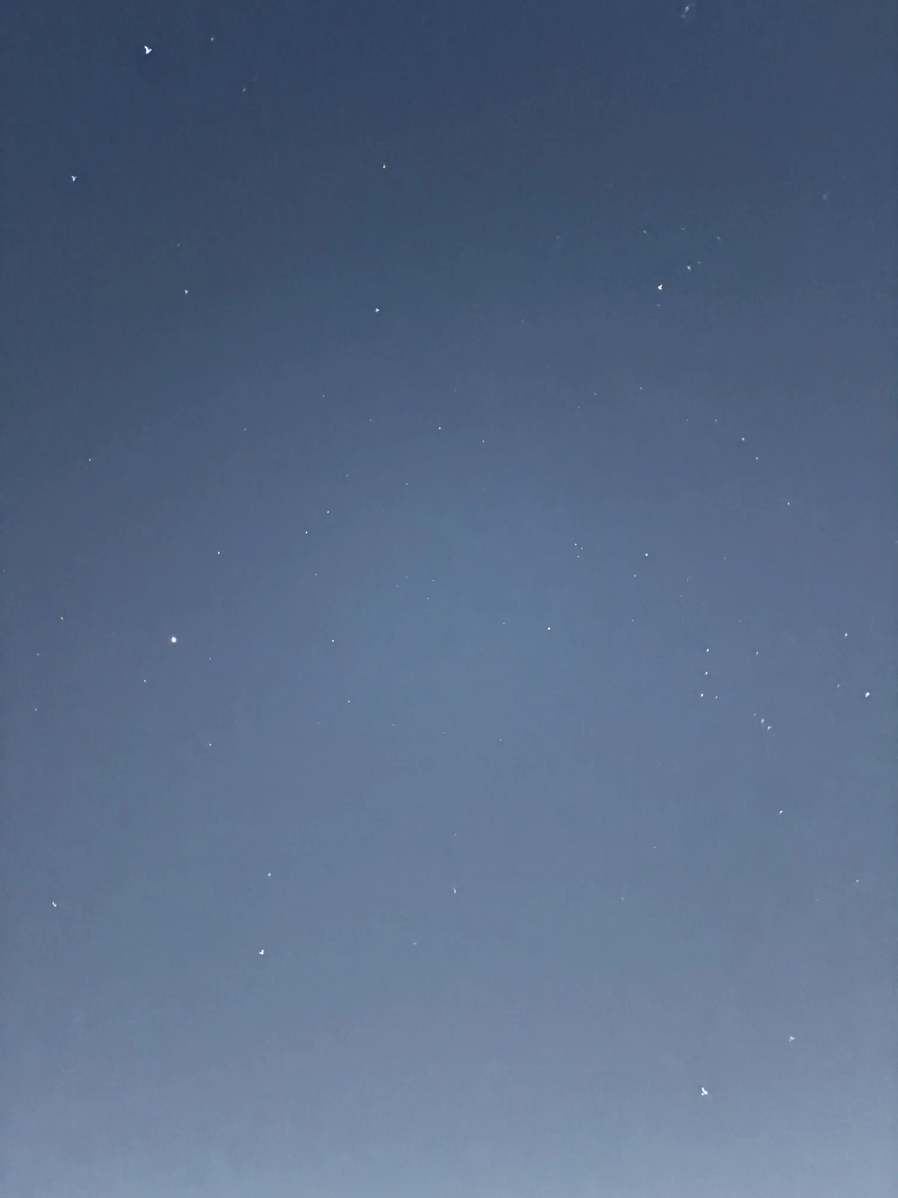 KOMEKUE0211의 なんでも叶えてくれる怪盗さん