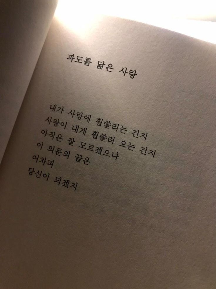 모두가 좋아하는 그 선배 대표 이미지