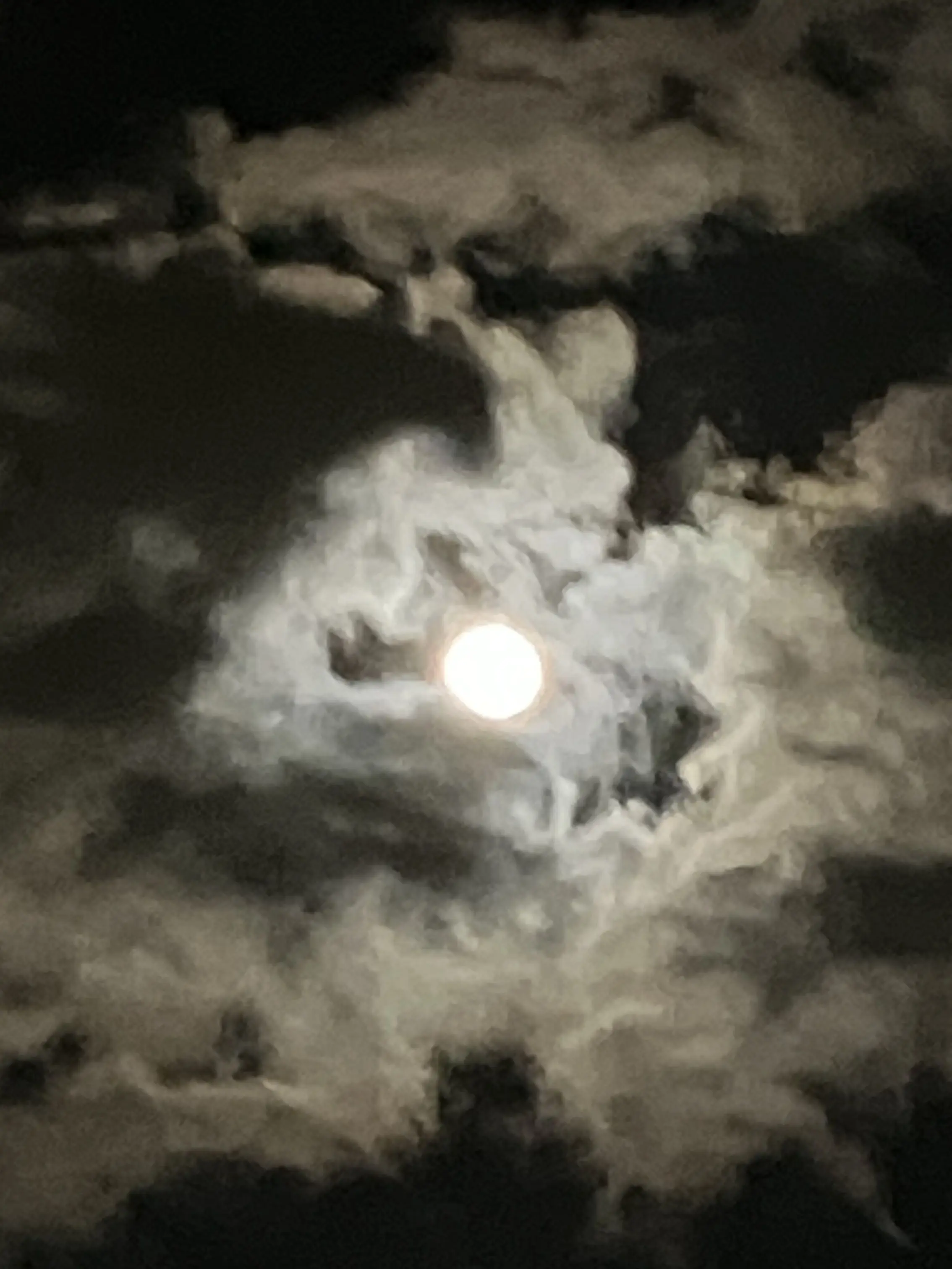 0205rairairai의 貴方の事が好きなフランスさん