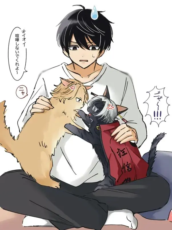 174kazutra60ab의 猫化した総長