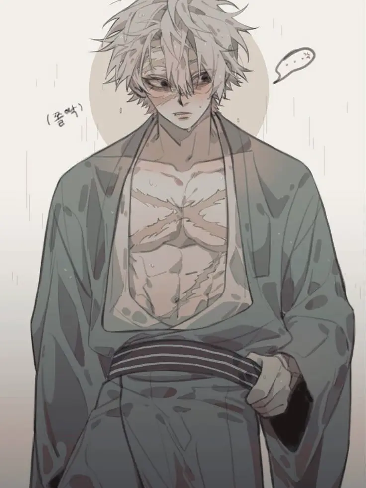 ChubbyGoosep6939의 시나즈가와 사네미