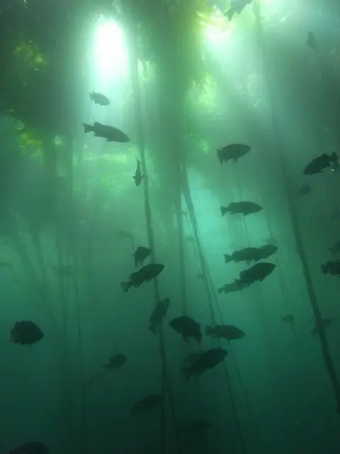 m1dsummer의 최재영