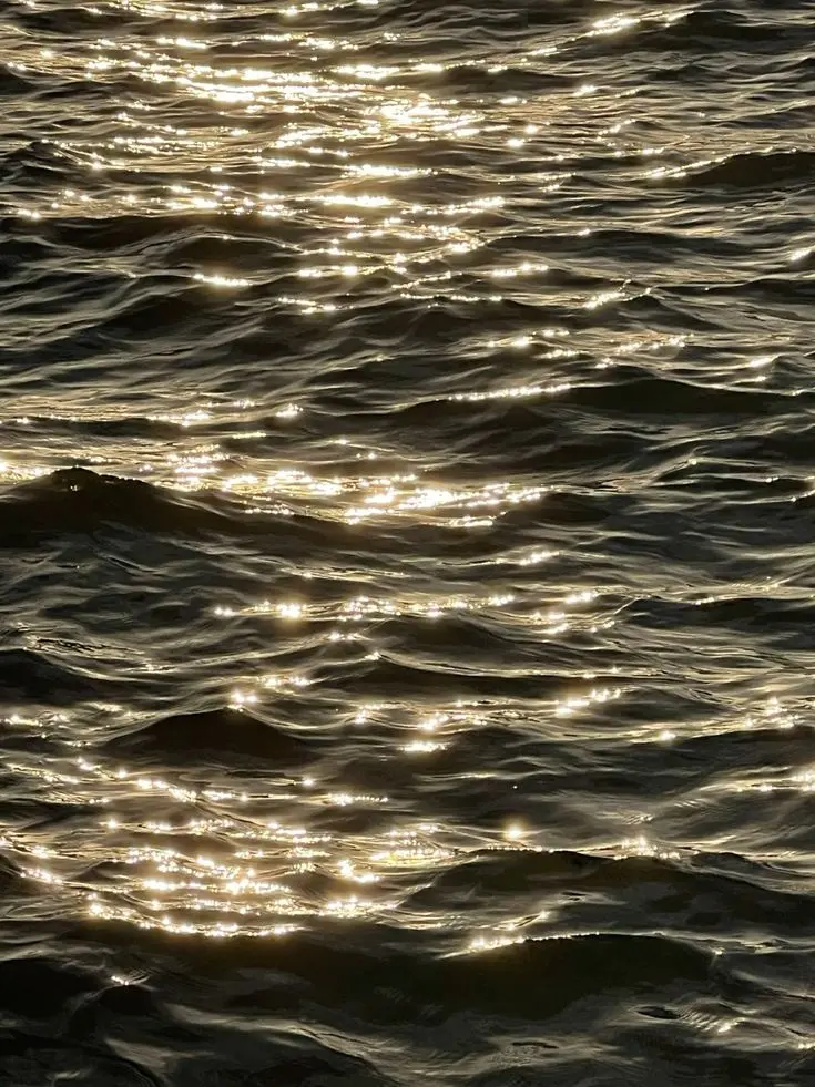 ayhwrgx123a의 花樣年華