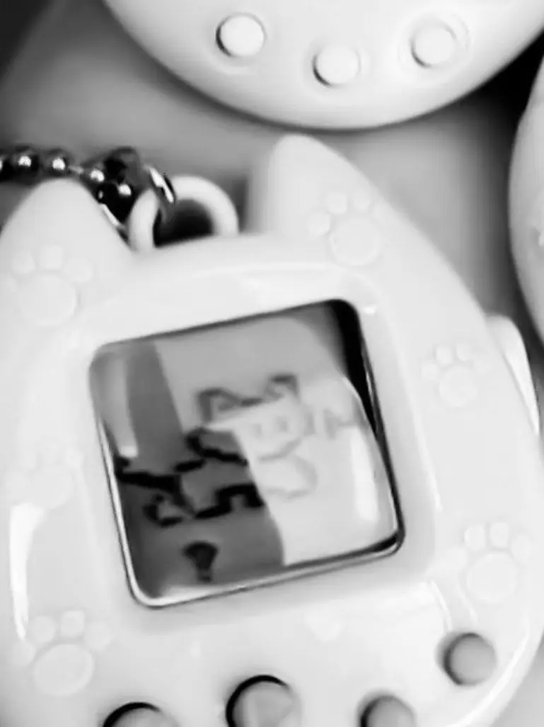 Back.yeon의 禪院 直哉