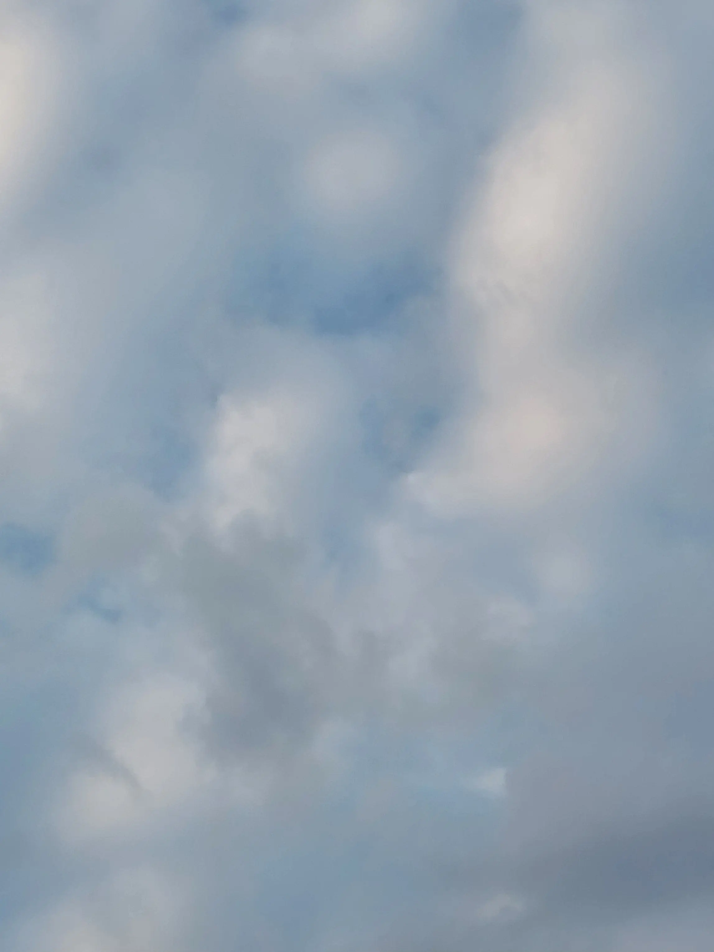 celi-lia의 한순간에 깨진 5년의 신뢰