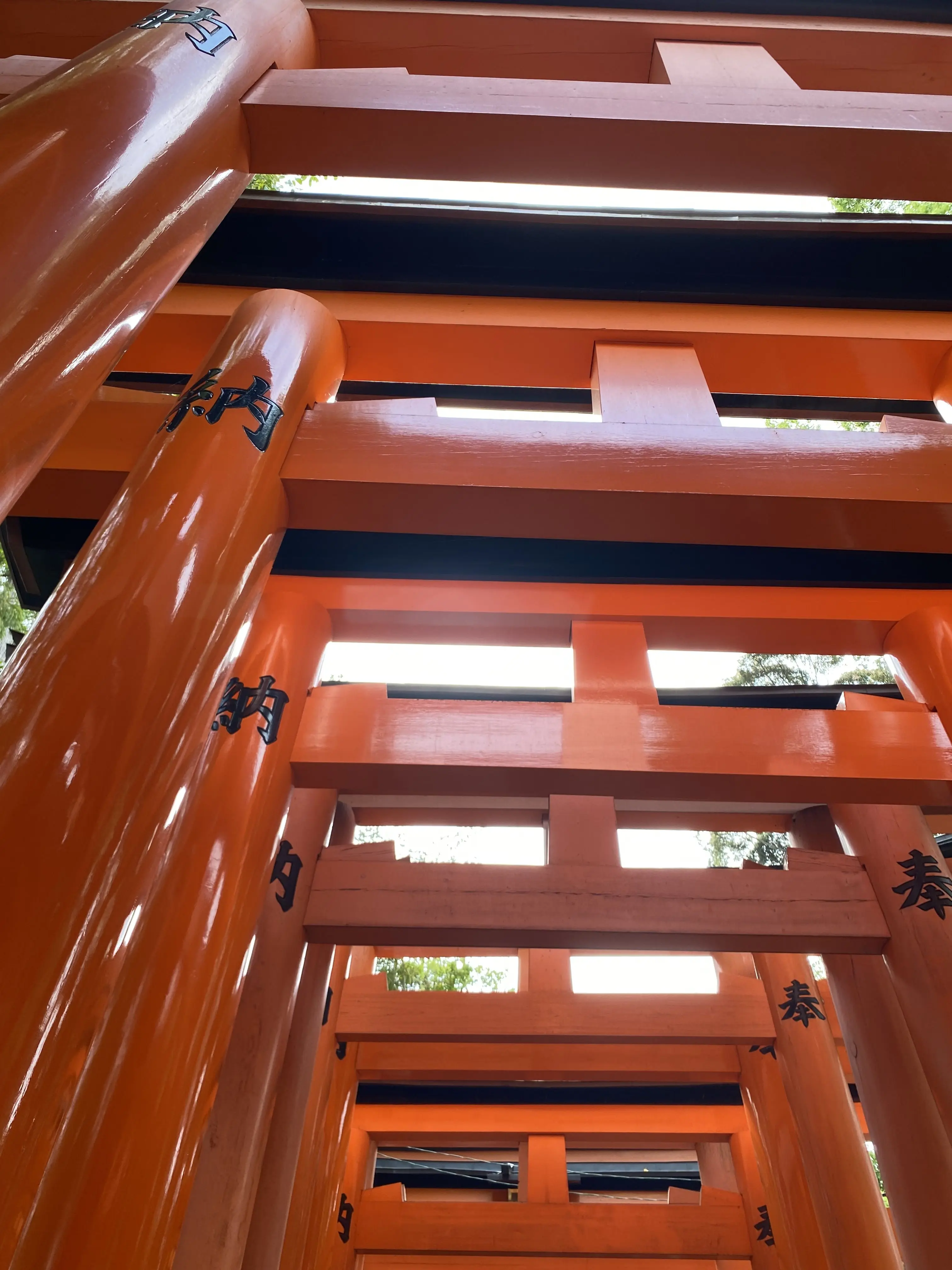 DirtyCost9398의 実は世界的に人気なアイドルでした！？