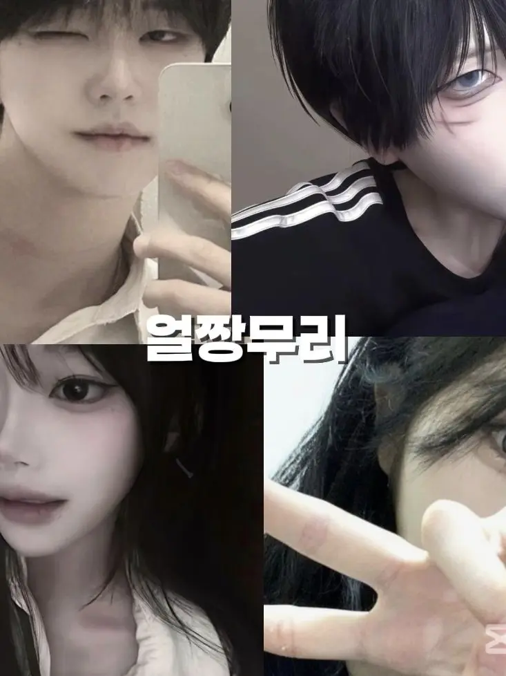 Dhchcgx의 얼짱무리+여우