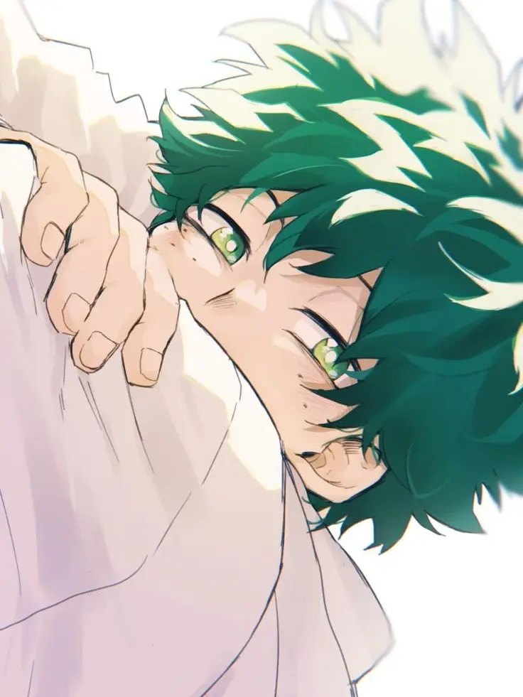 Aizawawifey의 Midoriya