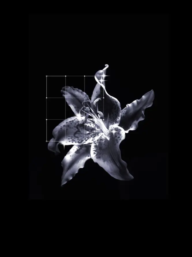 r._ezrc의 オークション