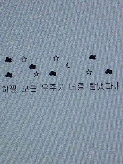 ❤️‍🩹🍊 대표 이미지