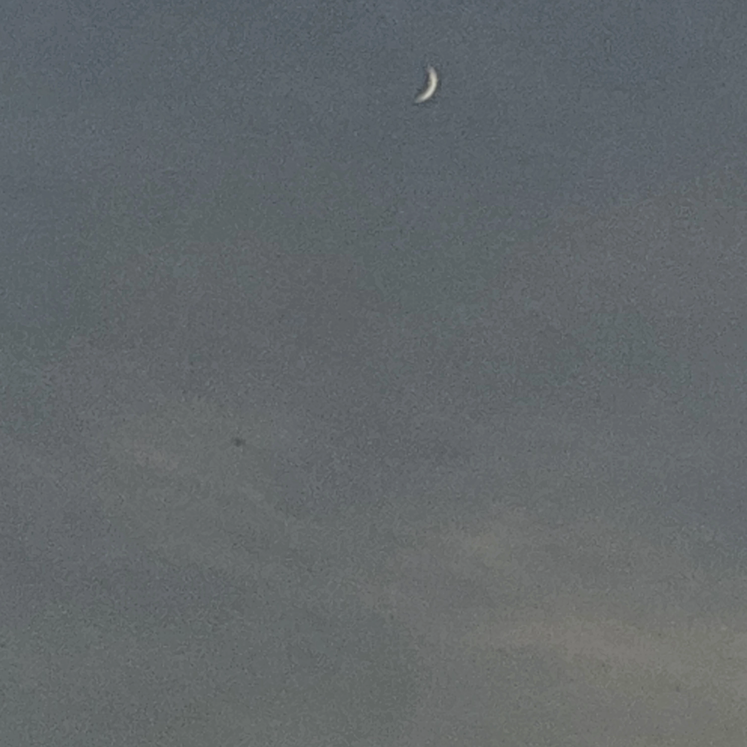 정핝