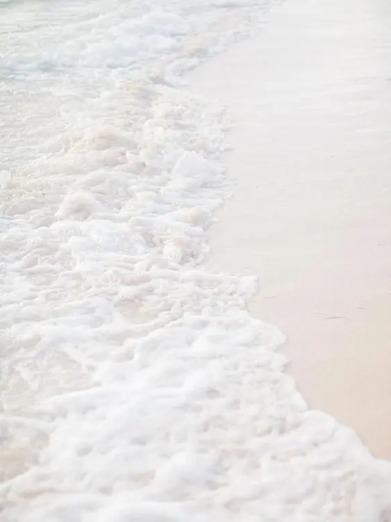 forever_paradise의 보스가 어릴수도 있지!