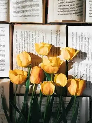 Mystic_____의 Romance plot friend group