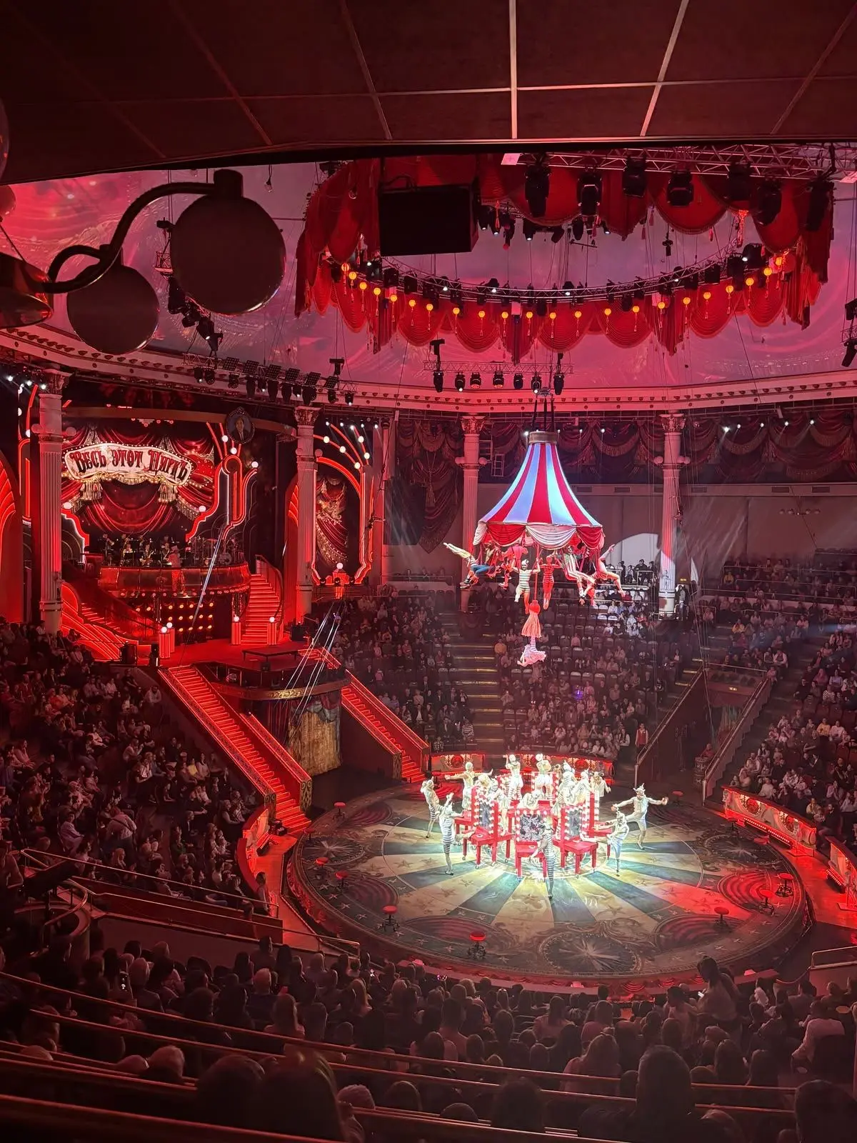 SwiftFlax3726의 Circus.