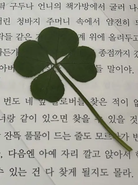WindyPen5021의 自分用です