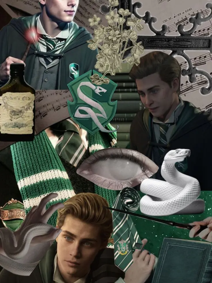 TrashMonkeys121의 The blind Gaunt