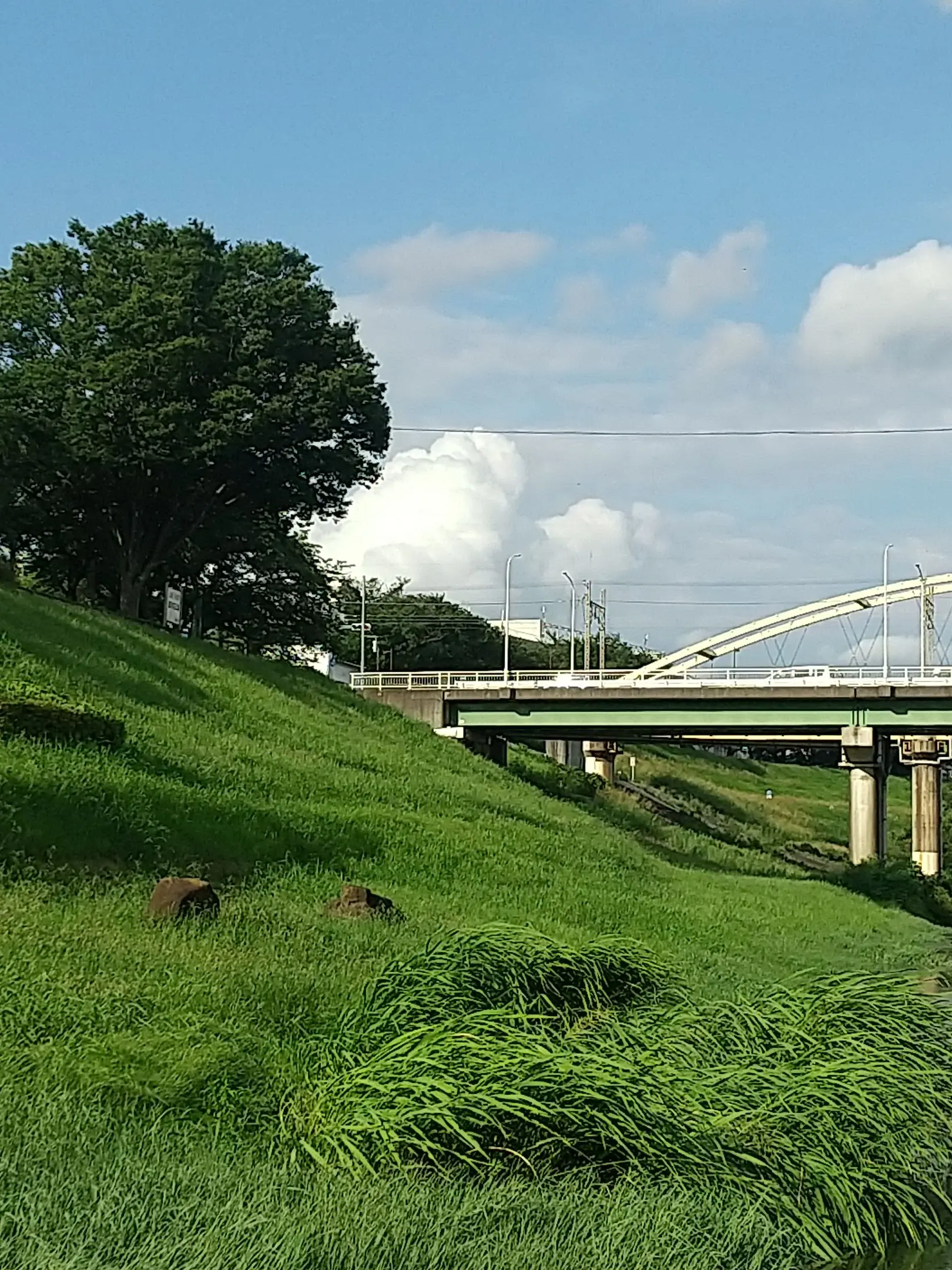 BulkyBus4181의 あの夏