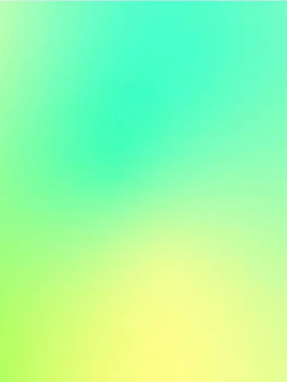 ClumsyMeno7445의 うちの子が人間と猫行き来できるらしい