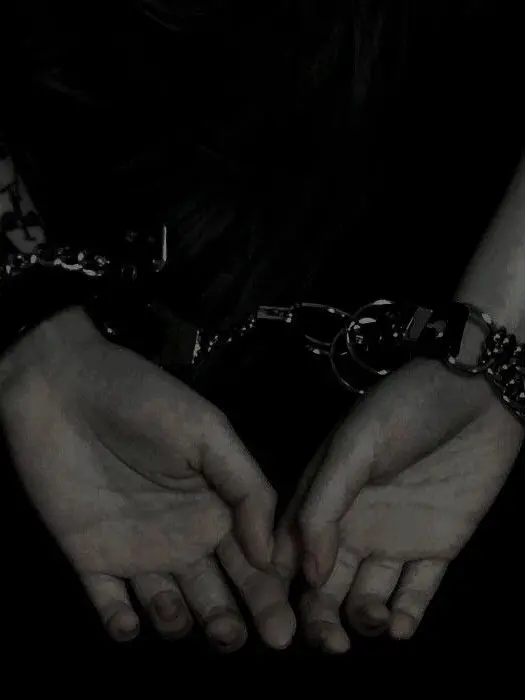 GrainyFlag6251의 ドS警部 太宰治