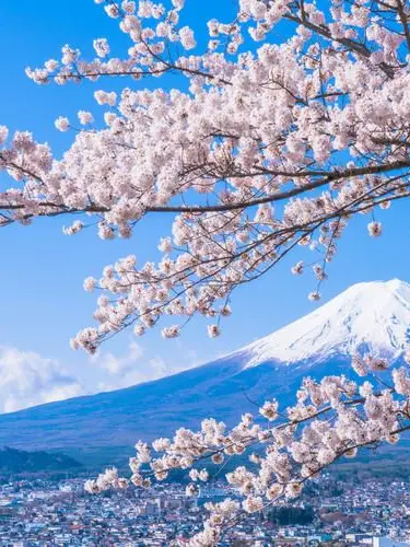 Icantremember의 日本へMT旅行