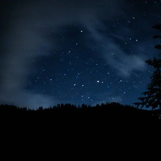 RashTosa5911의 오니를 사냥하는 오니사냥꾼