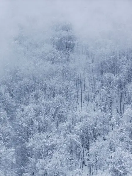 urara077의 数字界隈と初詣…！？