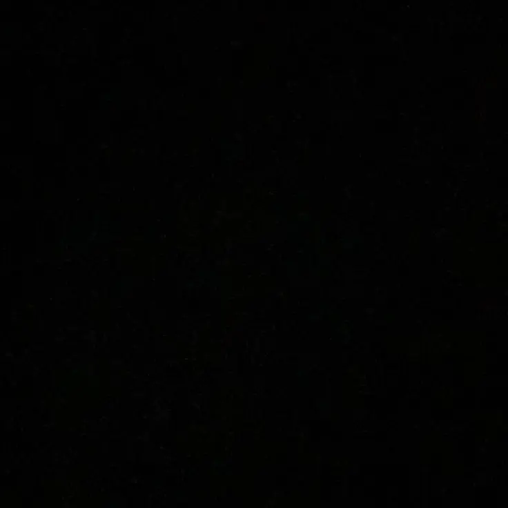 miso._.days의 종준이랑 동거하기