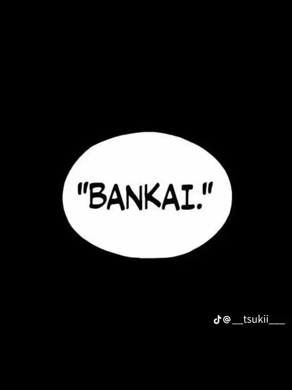 SpikyRifle4194의 블리치&동거&일상&능력X