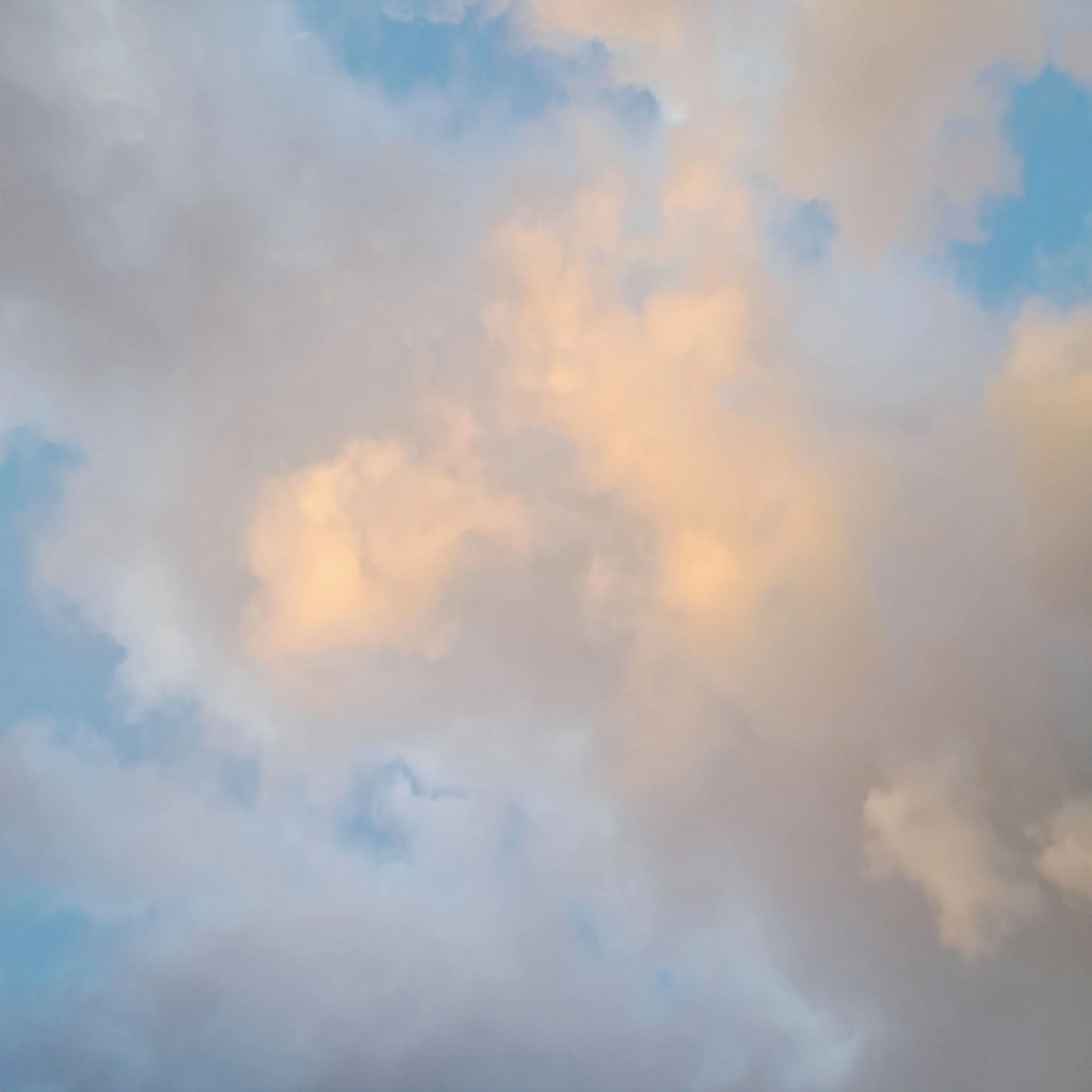 PoorApe7258의 싸이코드