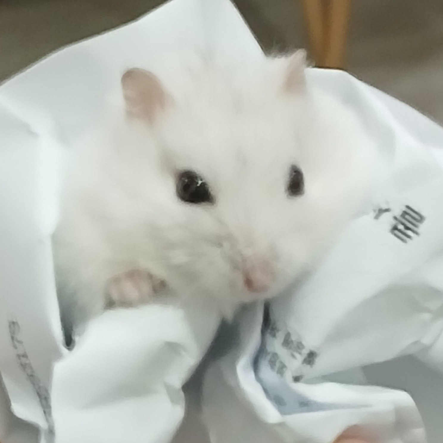 " 왜 이렇게 애가 이기적이니?; " 대표 이미지