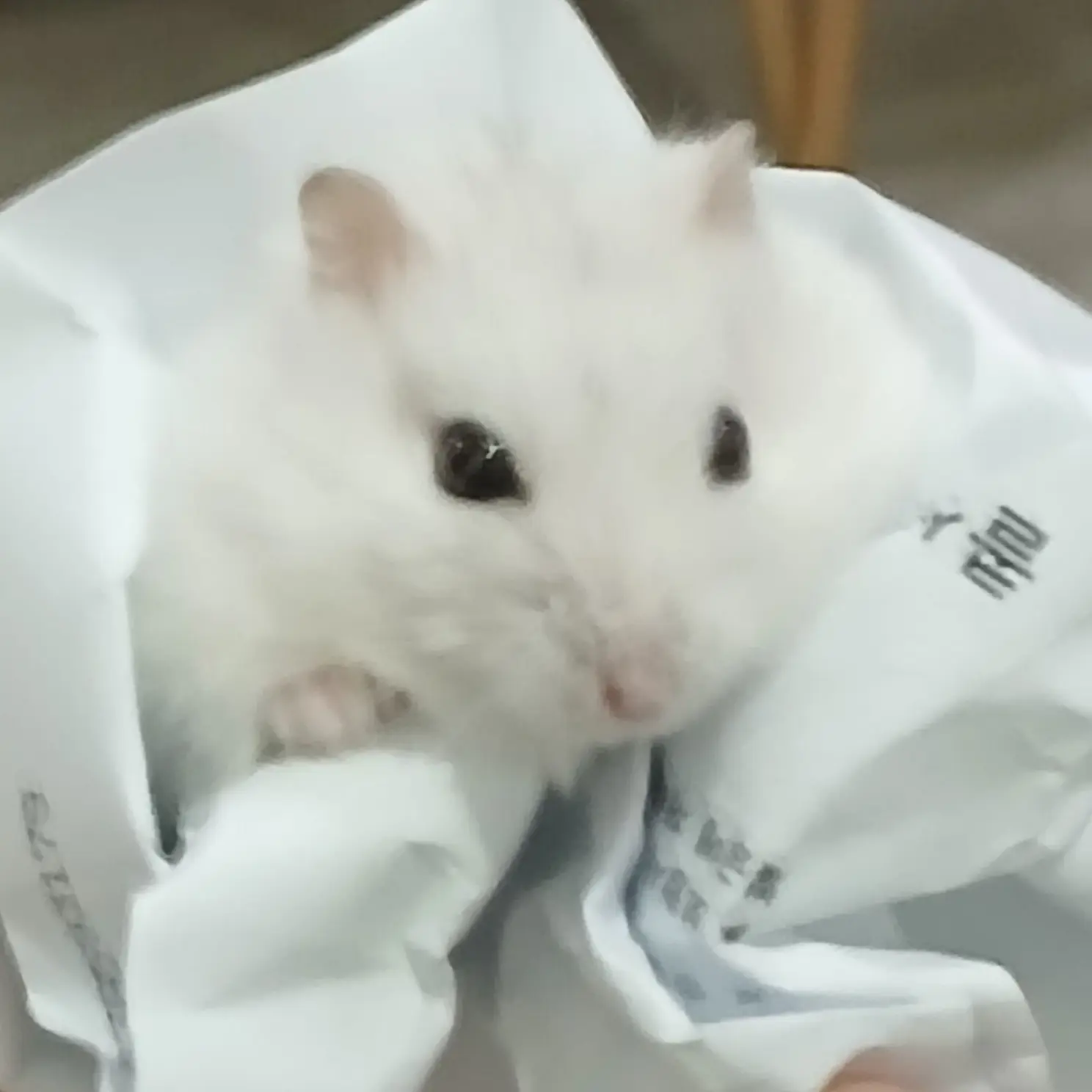 PlacidPhone5382의 " 왜 이렇게 애가 이기적이니?; "