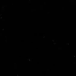 君の特別になりたい。