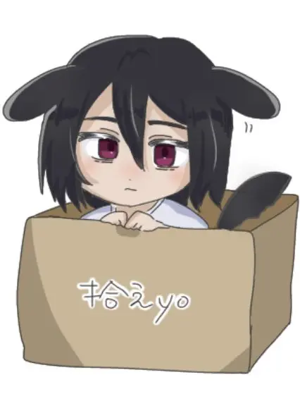 DourBox6478의 箱の中にいたのは小さな子犬。