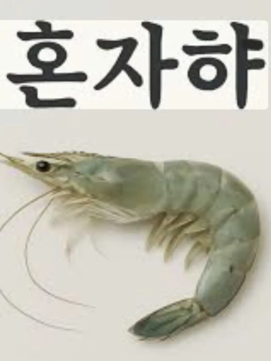 Greyheron의 혼자햐