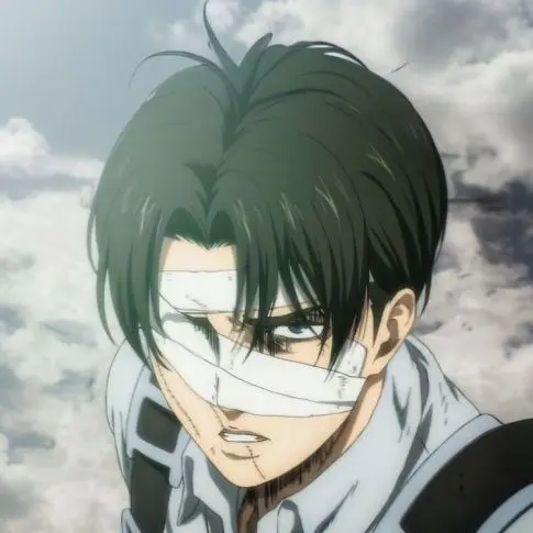 ohjia1008의 리바이 아커만