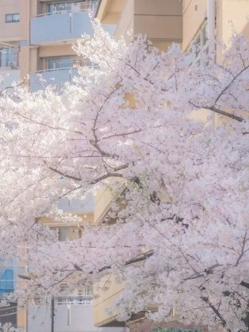 Ice_Travel의 곧 봄이 온다.