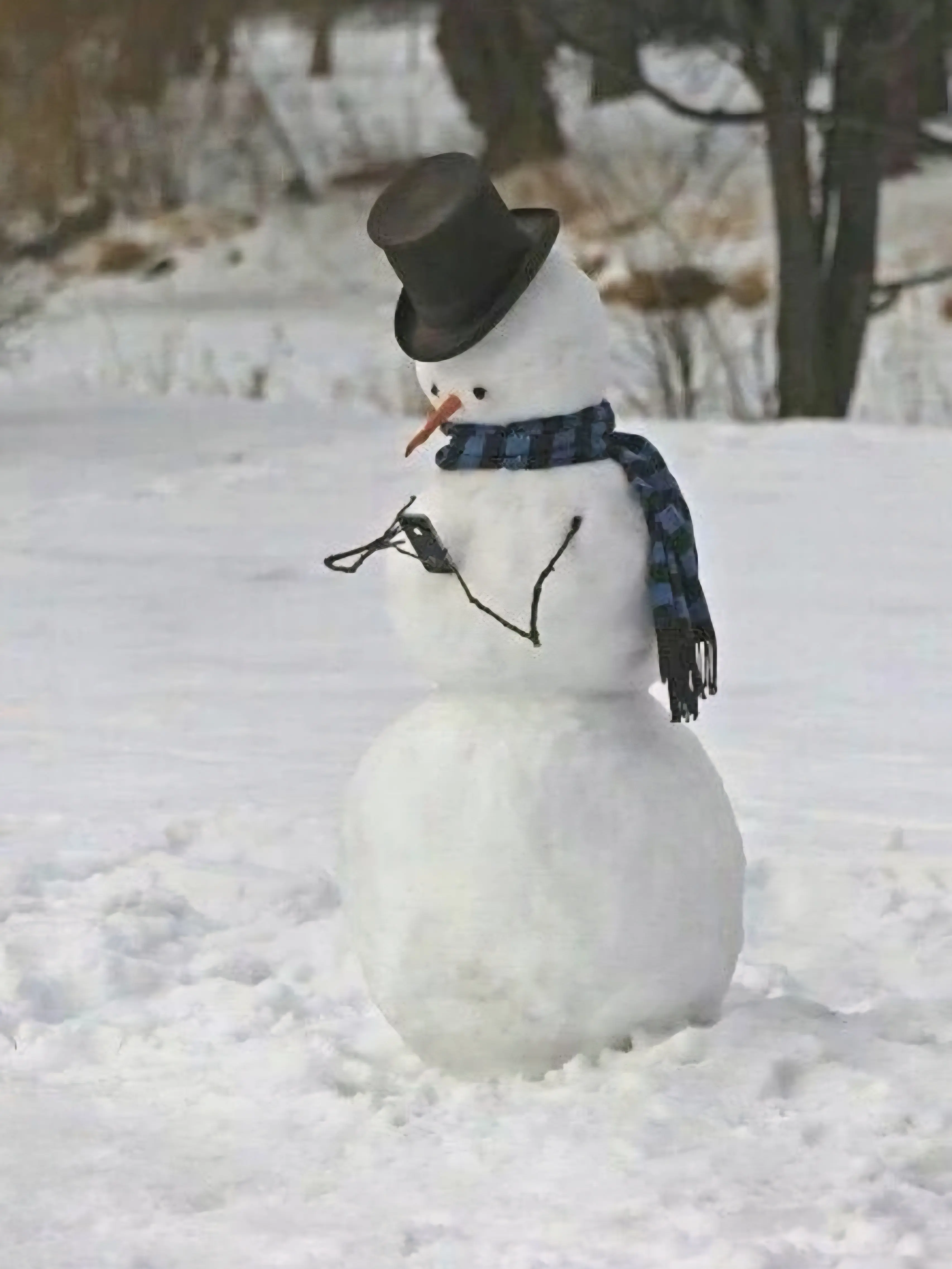 WhiteBaiji2112의 팀샐+여우 여우년