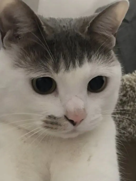 VoicedTime2042의 95즈의 연애란?🩷