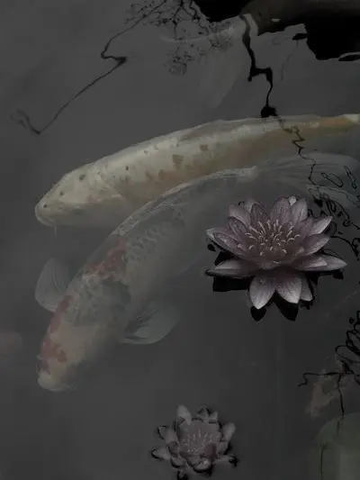 Lotus_777의 [ 낙원 유람부 ]