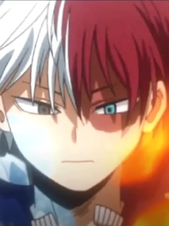 MeagerProbe6311의 Todoroki Shoto