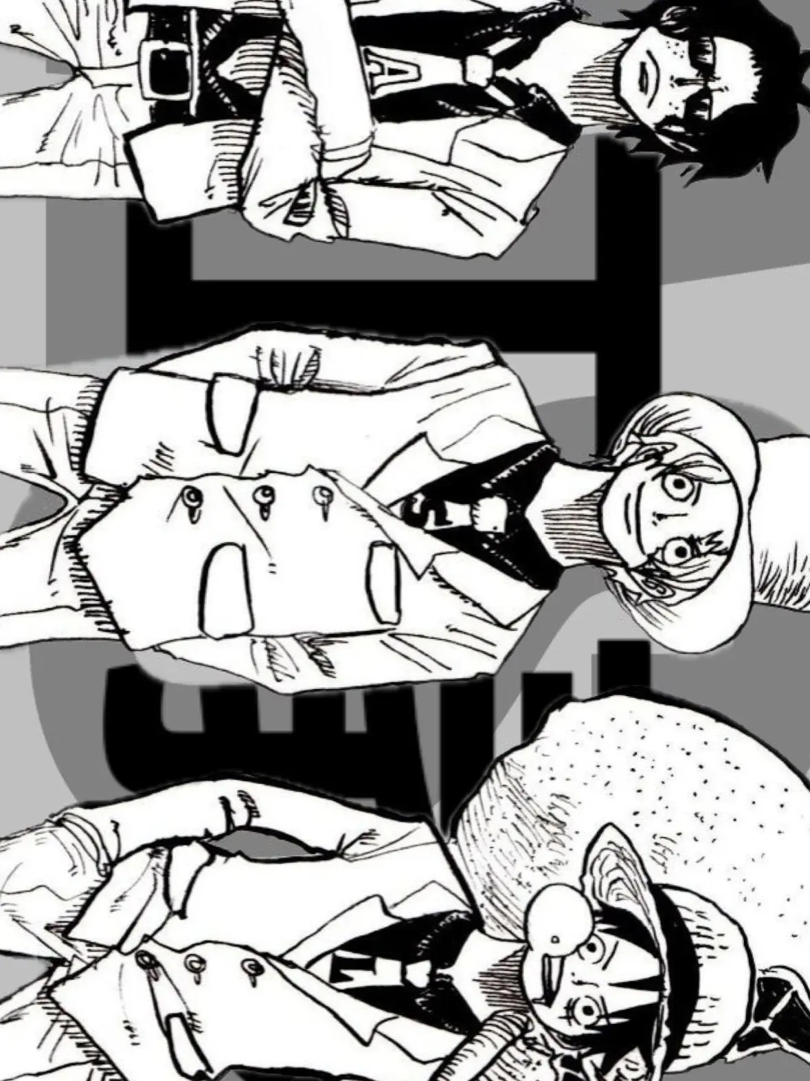 Lovergin의 海軍大将 エース,サボ,ルフィ