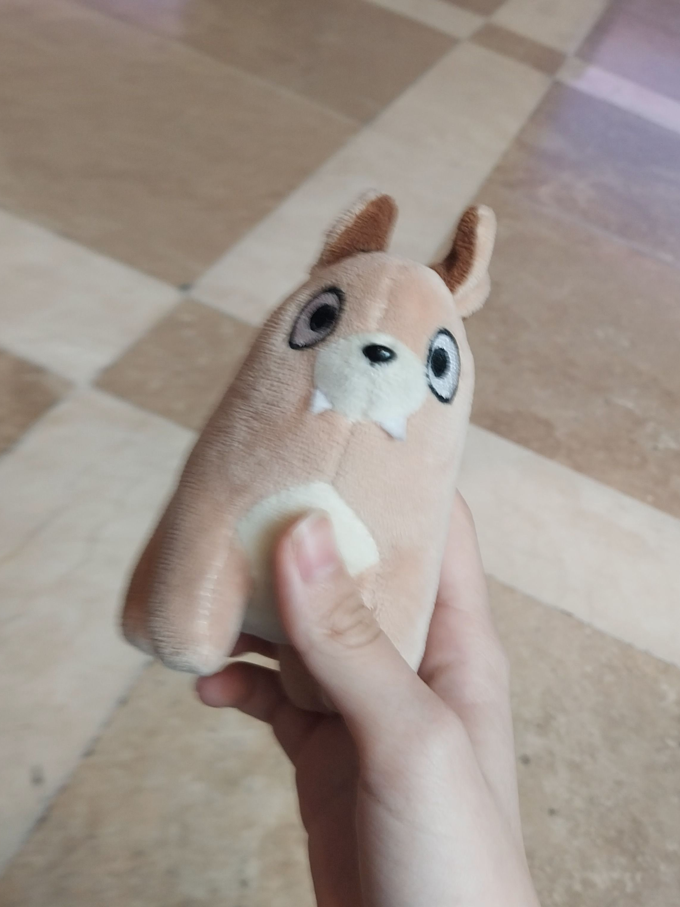 「🌠」 대표 이미지