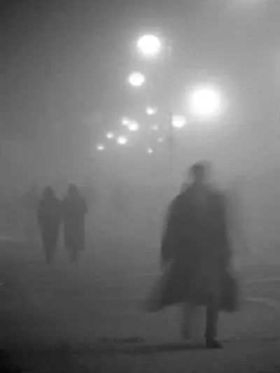 FrayedRobin2166의 They walk at night