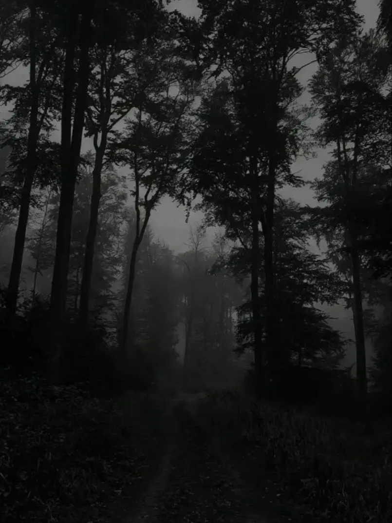 Ai_Yu108의 Mha Skinwalker